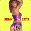 ( FC&#039;S )* MISS STRAY CAT&#039;S*