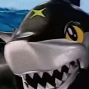 阳光开朗的咔鲨