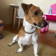 Djyy - steam id 76561198844812864