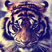 7777 - steam id 76561198867856818