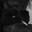 catman