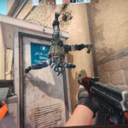 她与死神接过客丶