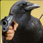 Killer Crow
