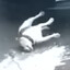 Avatar of bottle dog