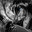 Coman2