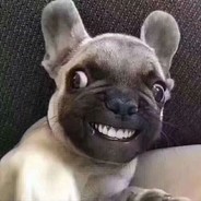 我也想穿安全裤呢丶