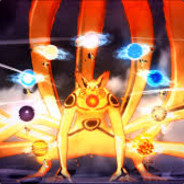FleischFackelhellcase.com