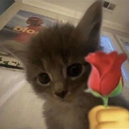 补药兑窝冷冰冰