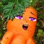 Wet Carrot