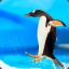 Penguin [FUN]