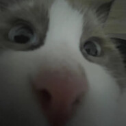 乡谣格戈达柔邦