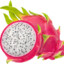 dragon fruit