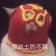 猫战士