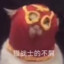 猫战士