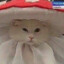 meowshroom