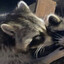 alfa_samca2288's avatar