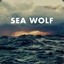 * SEA WOLF *