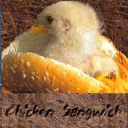 Chicken Sangwich