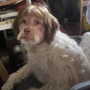 Koveeeeeeeeeeeeeeeeeeeeeeeeeeeee