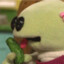 Pickle Enjoyer