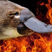 Platy