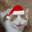 Holly Jolly Limey's Avatar