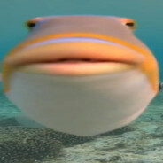 Egli-Filet usm Murtesee