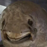 可爱呆萌小鲨鱼