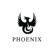 Pheonix - steam id 76561199855460480
