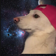 Perro Fachero avatar