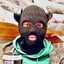 twitch.tv/dimixzc