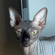 P.Kacher* - steam id 76561198071118916