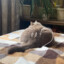 limonharon ********.**********