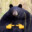 Hippopotamus Amphibius