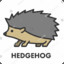 Hedgehog RainRP.co