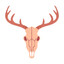 wapiti400x avatar