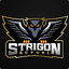 Strigon_Actual