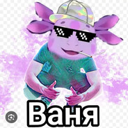 ЖОПА ЕБАНУТАЯ