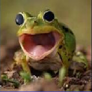 crazzzzyfrog avatar