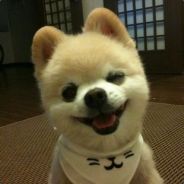 蹲在窗台拉粑粑