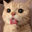 Billu007