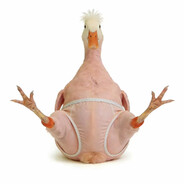 Genshin Impact is awesome