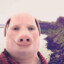 John Pork