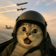 我自狂歌空度日