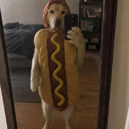 Damsi