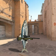 HAMSİ Steam avatar