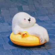 南宫问雅摸过头