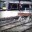 Trains & Rails (Rail_Maniac)