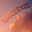 BRICEEX22