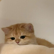 yuxinlin's avatar